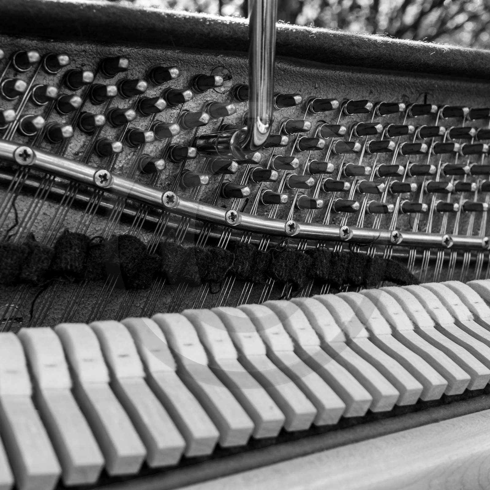 Philippe Séranne - Piano Vélo Philippe Séranne - Piano Vélo