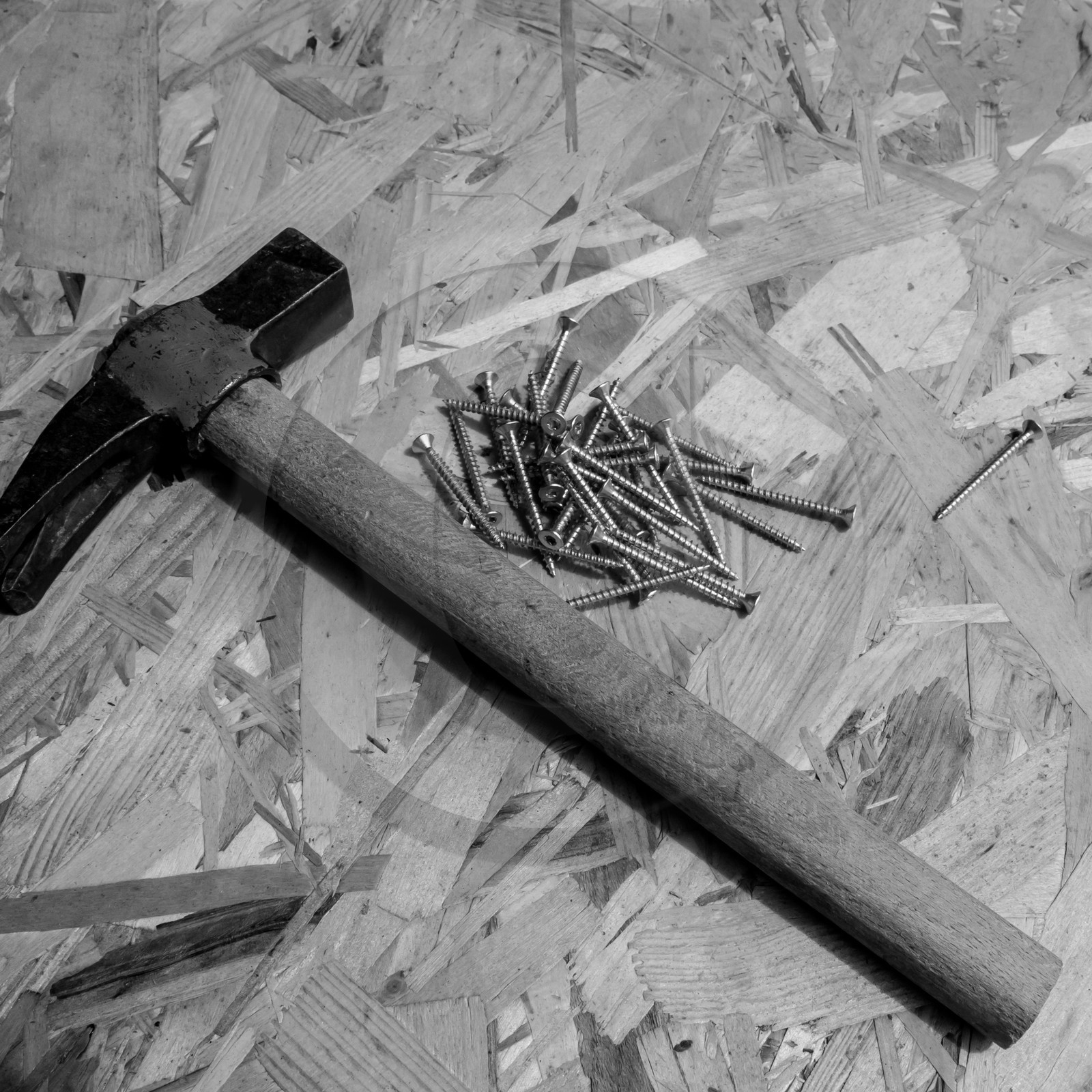 Construction d'une cabane