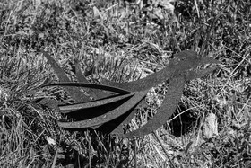 25 avril 2025 : Journée des Aidants