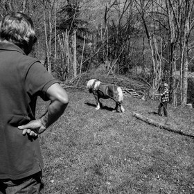 Débardage avec un cheval - 17 04 17
