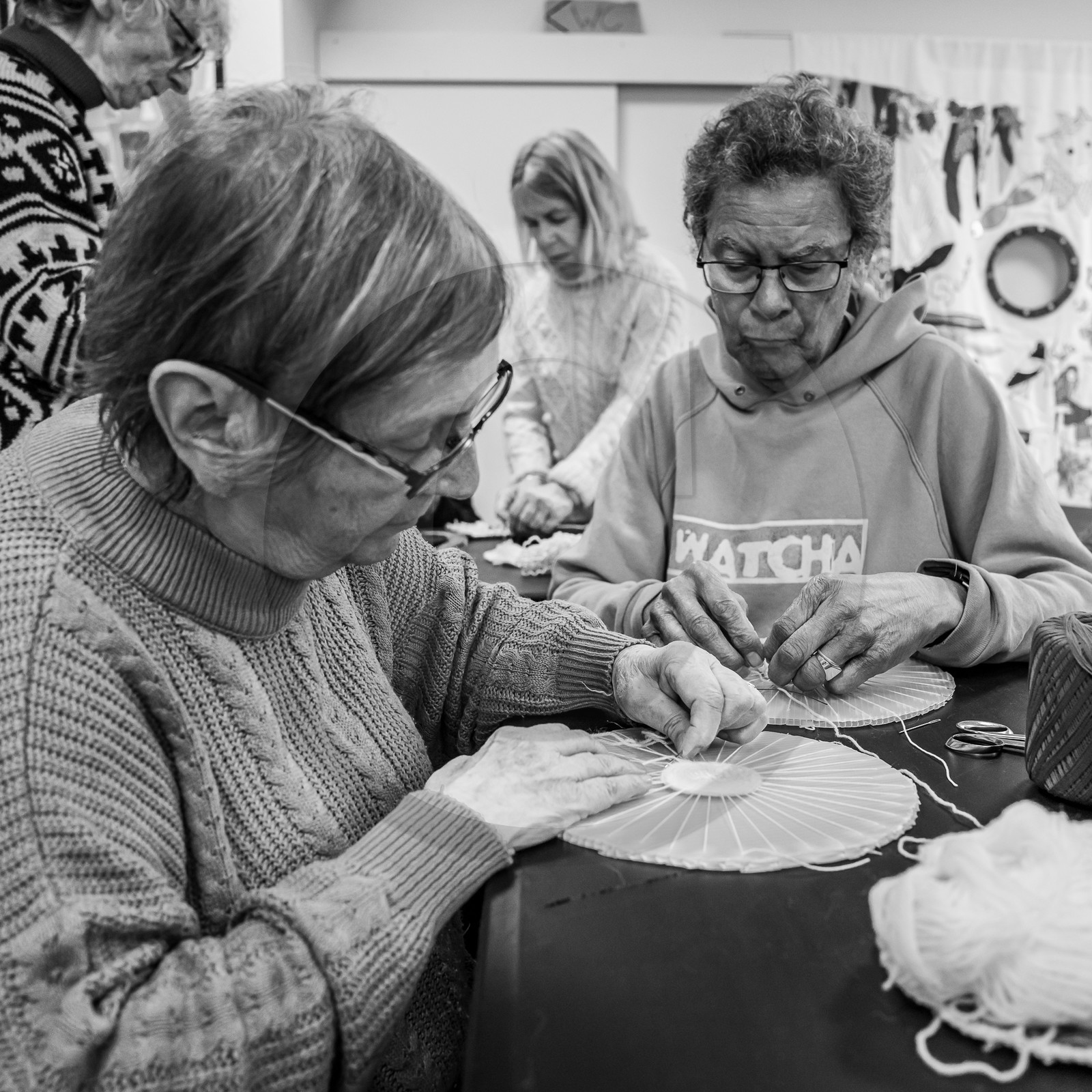 03 avril 2024 : Laine et aménagements au jardin