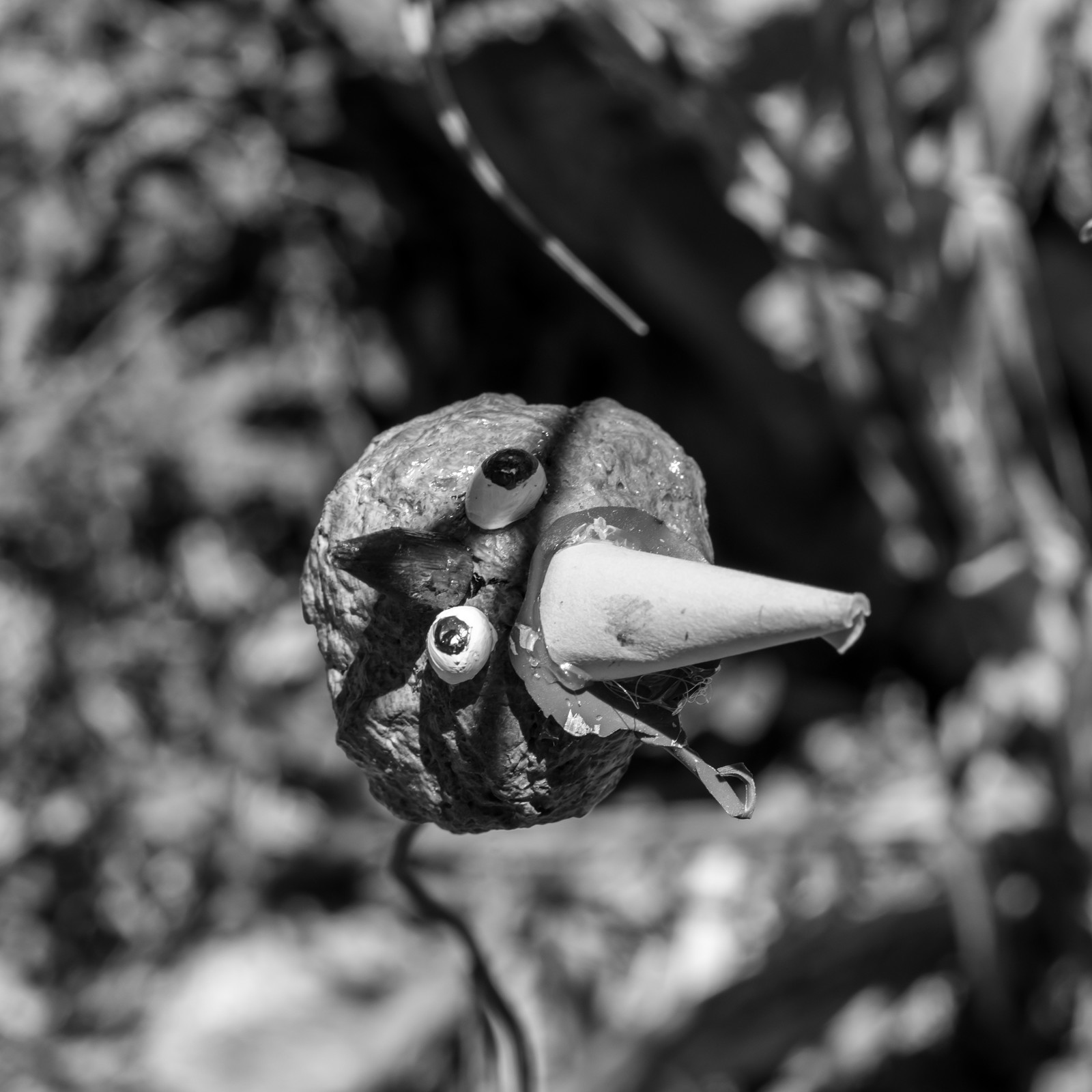 16 juillet 2025 : Les Triplettes