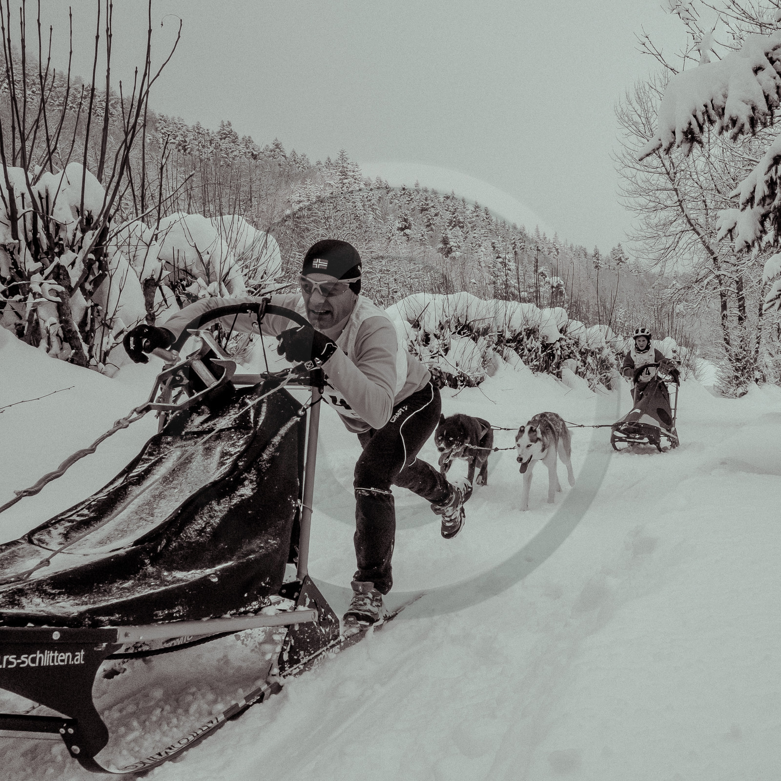 La Valgaude Traineau 2015 La Valgaude Traineau 2015