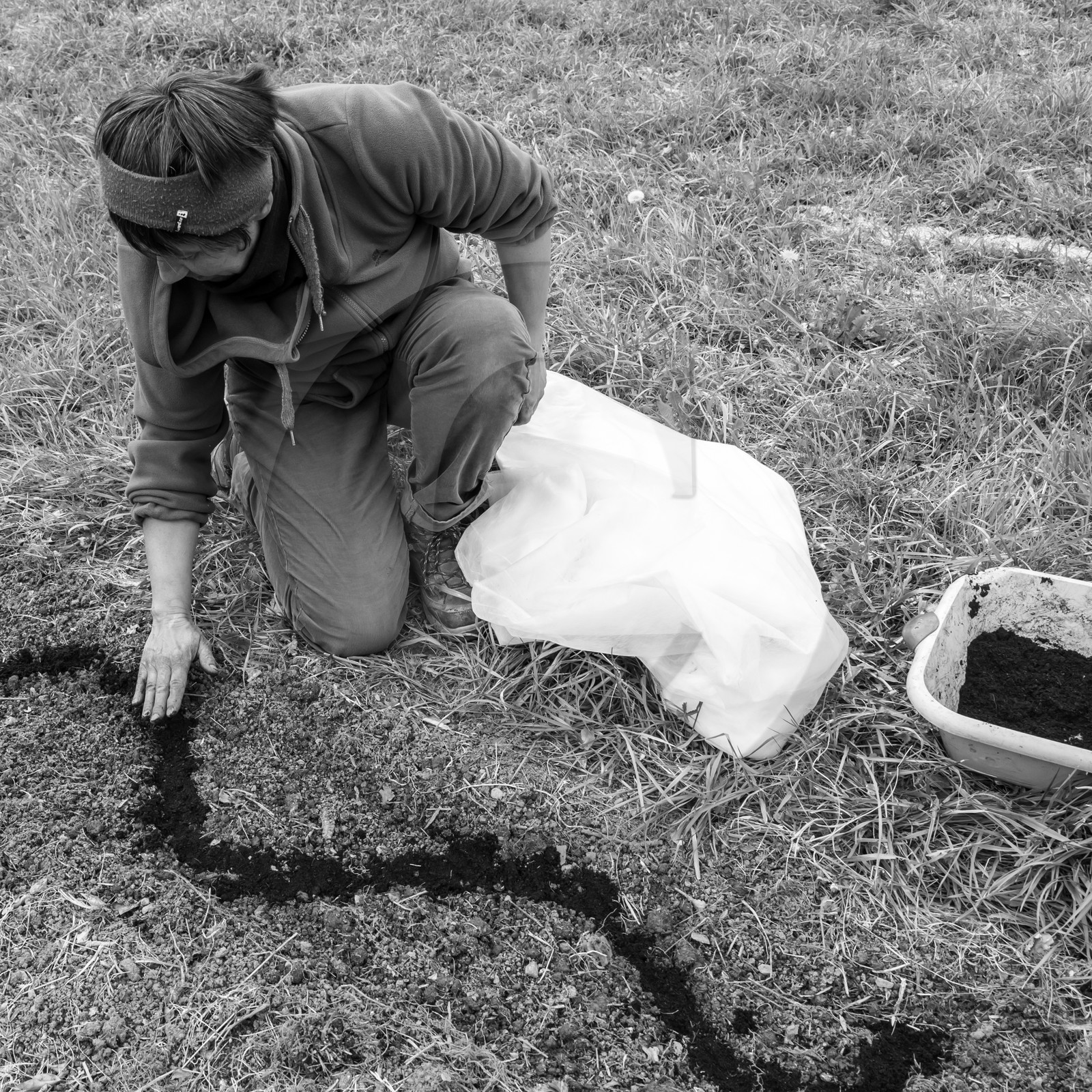 03 mai 2017 - Bac, semis et plantations