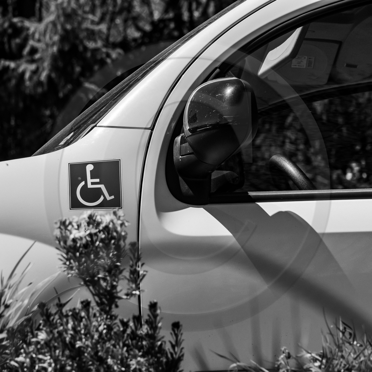 Atelier laine et promenade au jardin Atelier laine et promenade au jardin