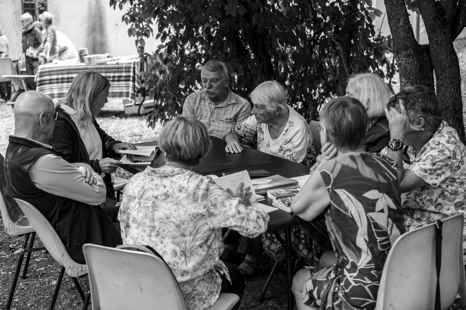 Le Noyer, village champsaurin