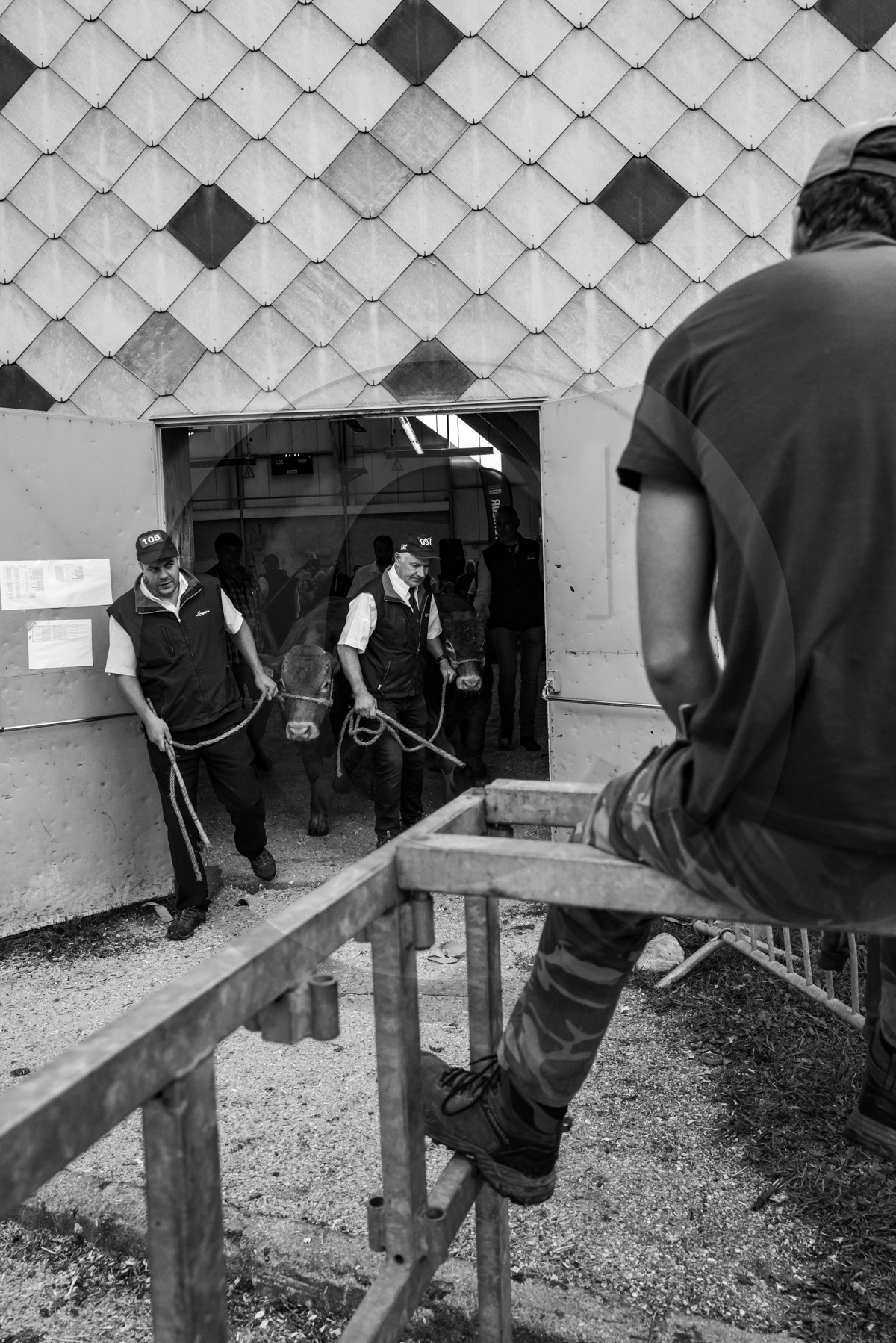 Rencontres paysannes à Saint-Bonnet en Champsaur