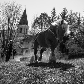 L'Ouort de Bénévent - 17 avril 2017