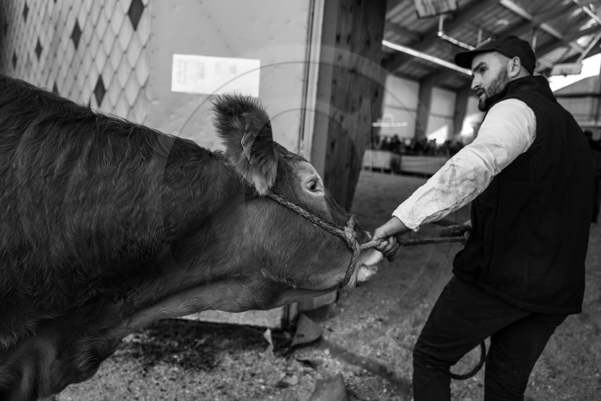 Rencontres paysannes à Saint-Bonnet en Champsaur