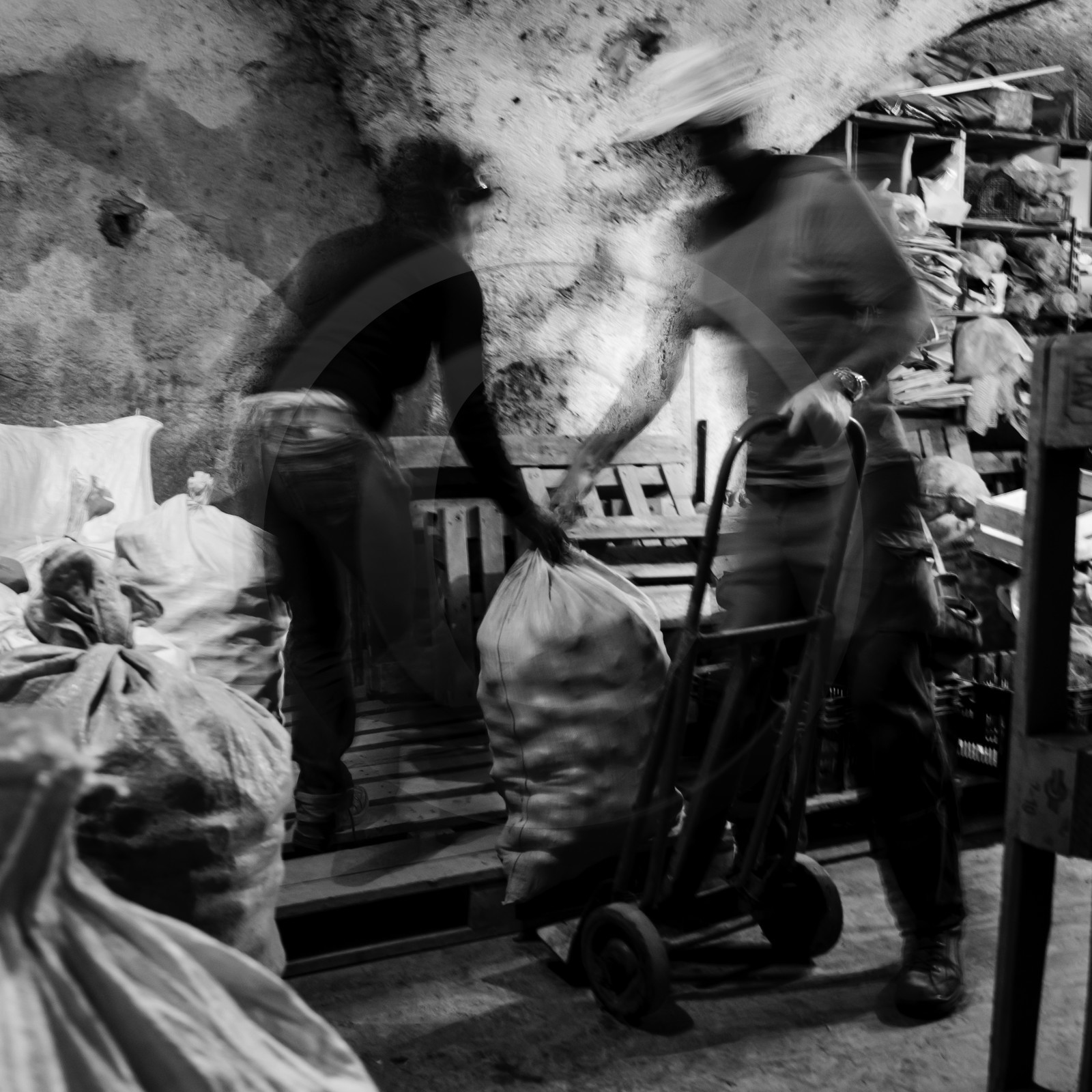 La récolte des pommes de terre