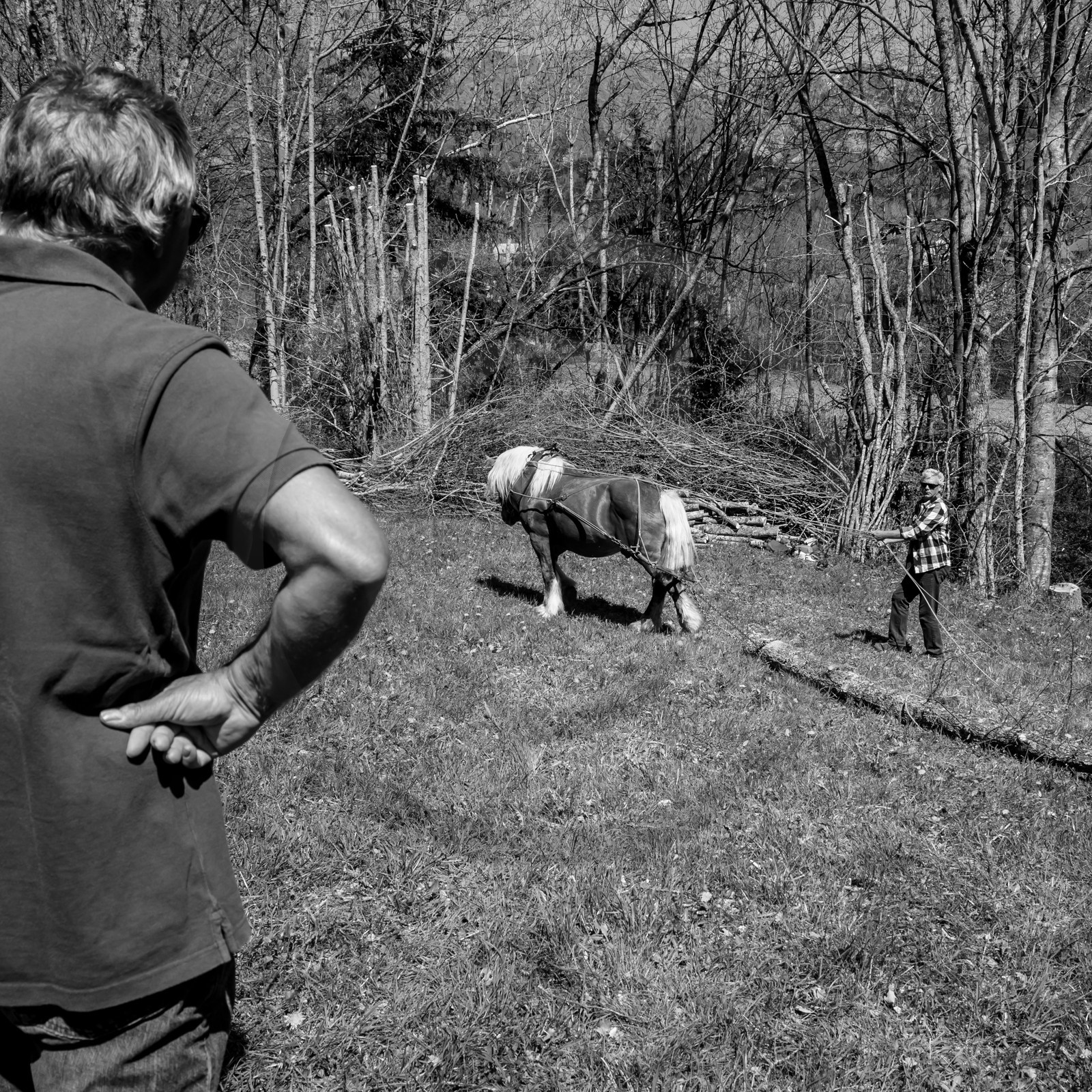 L'Ouort de Bénévent - 17 avril 2017