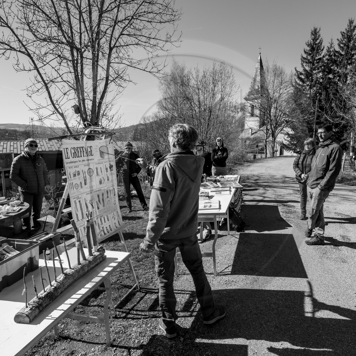 10 avril 2022 : Initiation à la greffe d'arbres fruitiers