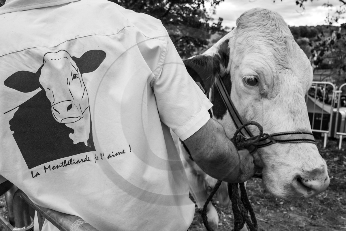 Rencontres paysannes à Saint-Bonnet en Champsaur