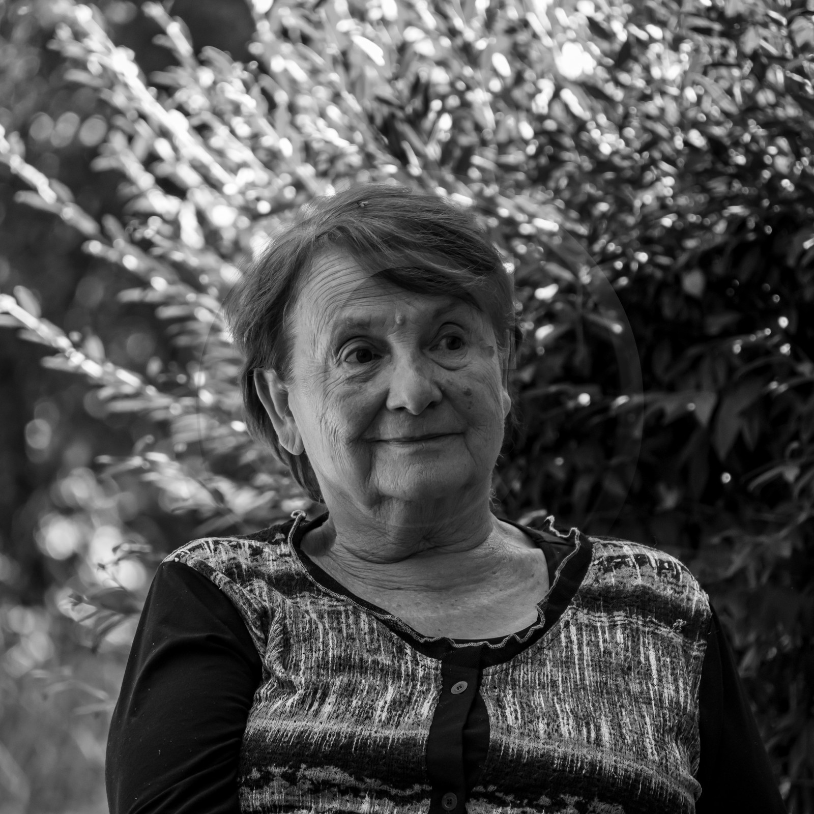 01 septembre 2021 : Promenade en cariole et contes