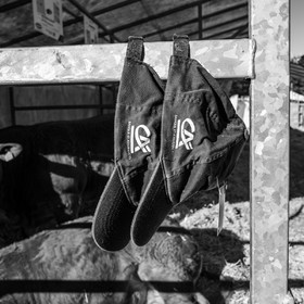 Rencontres paysannes à Saint-Bonnet en Champsaur