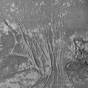 Stéphane Philippe, Le pain d'antan