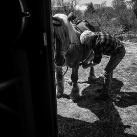 Labour avec un cheval