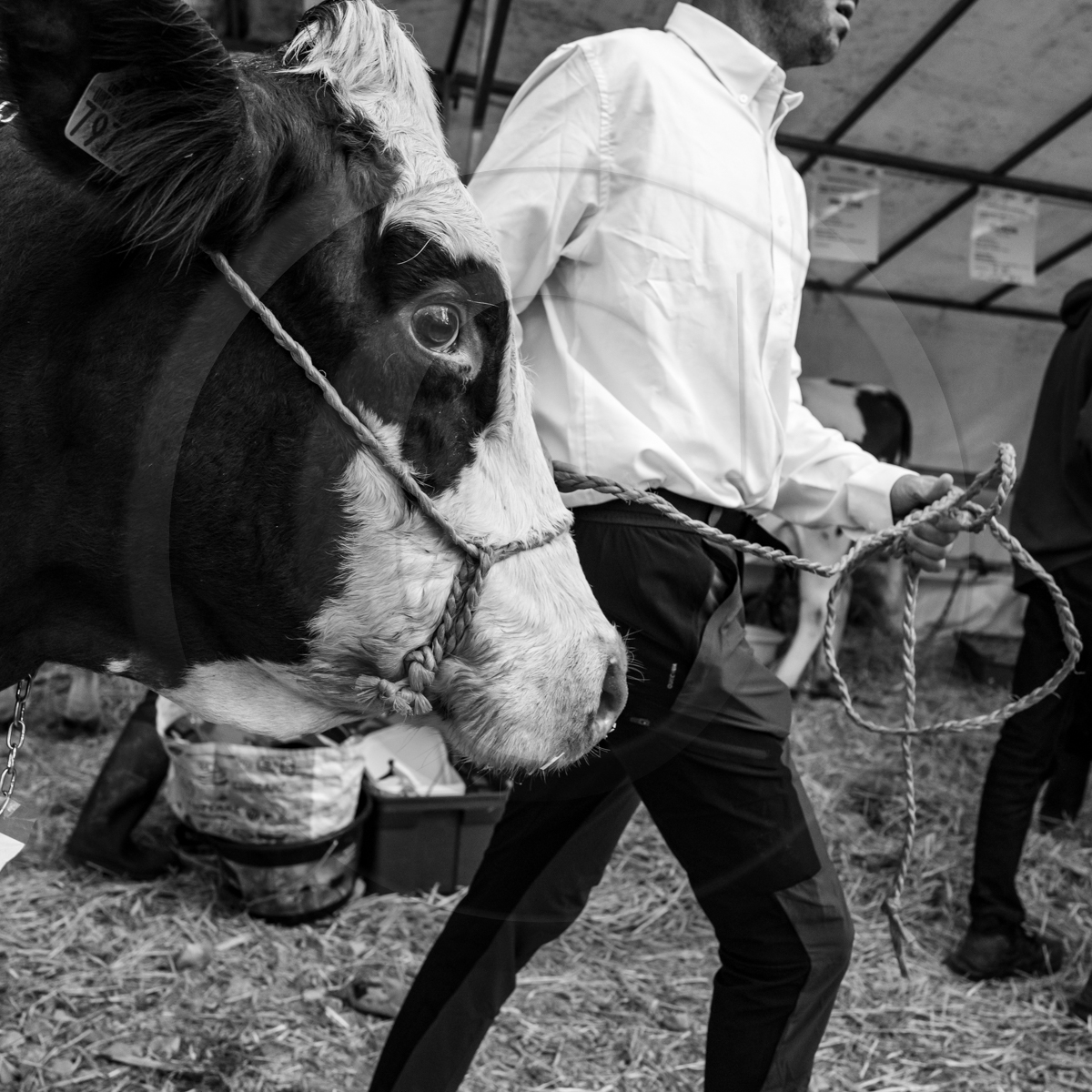 Rencontres paysannes à Saint-Bonnet en Champsaur