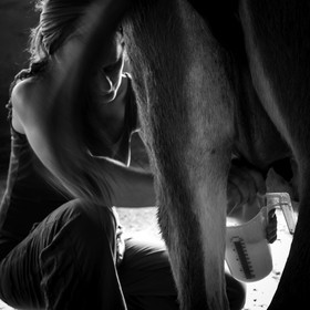 L'asinerie Le sentier des ânes