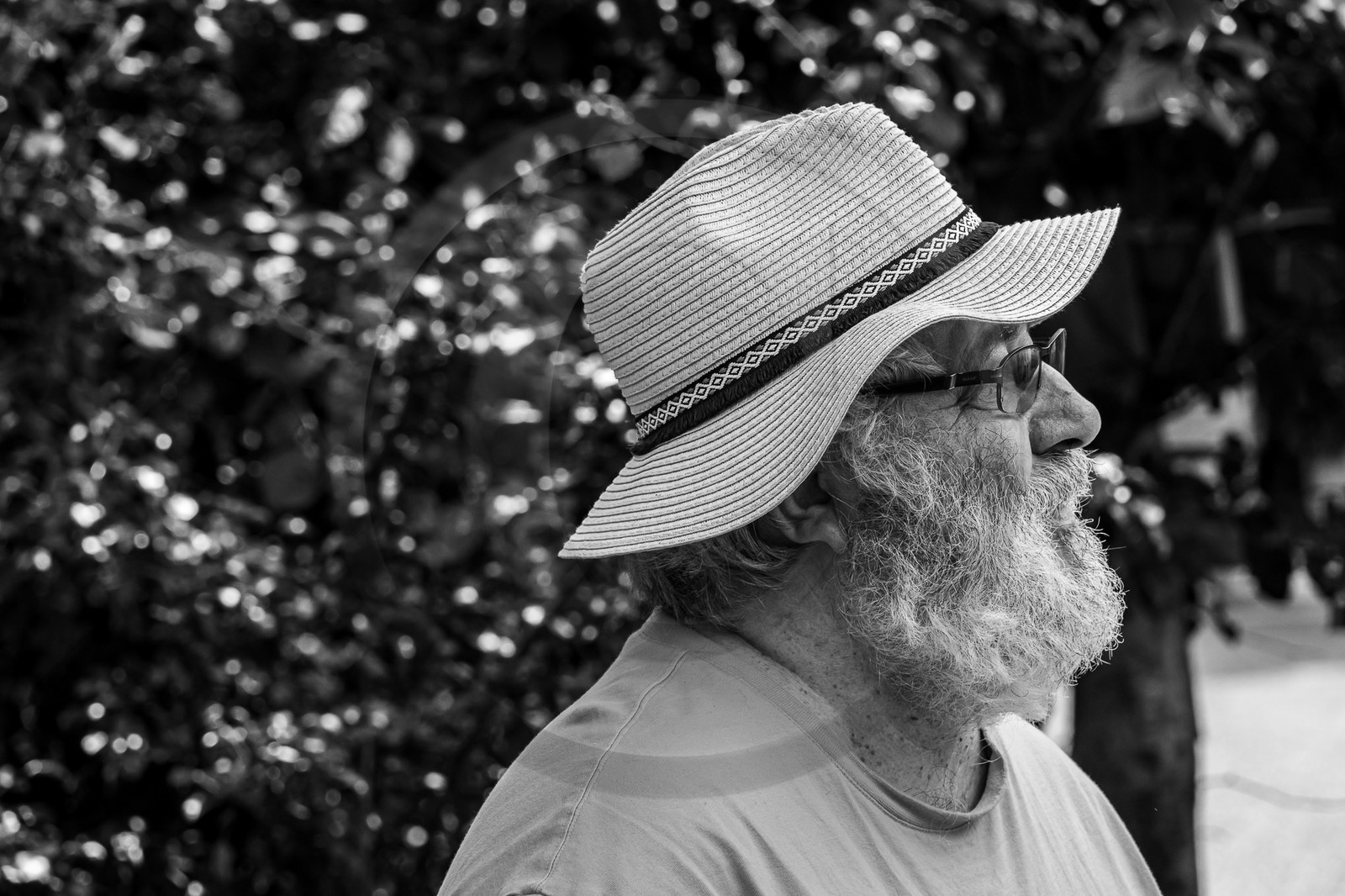 21 juin 2023 : Découverte botanique