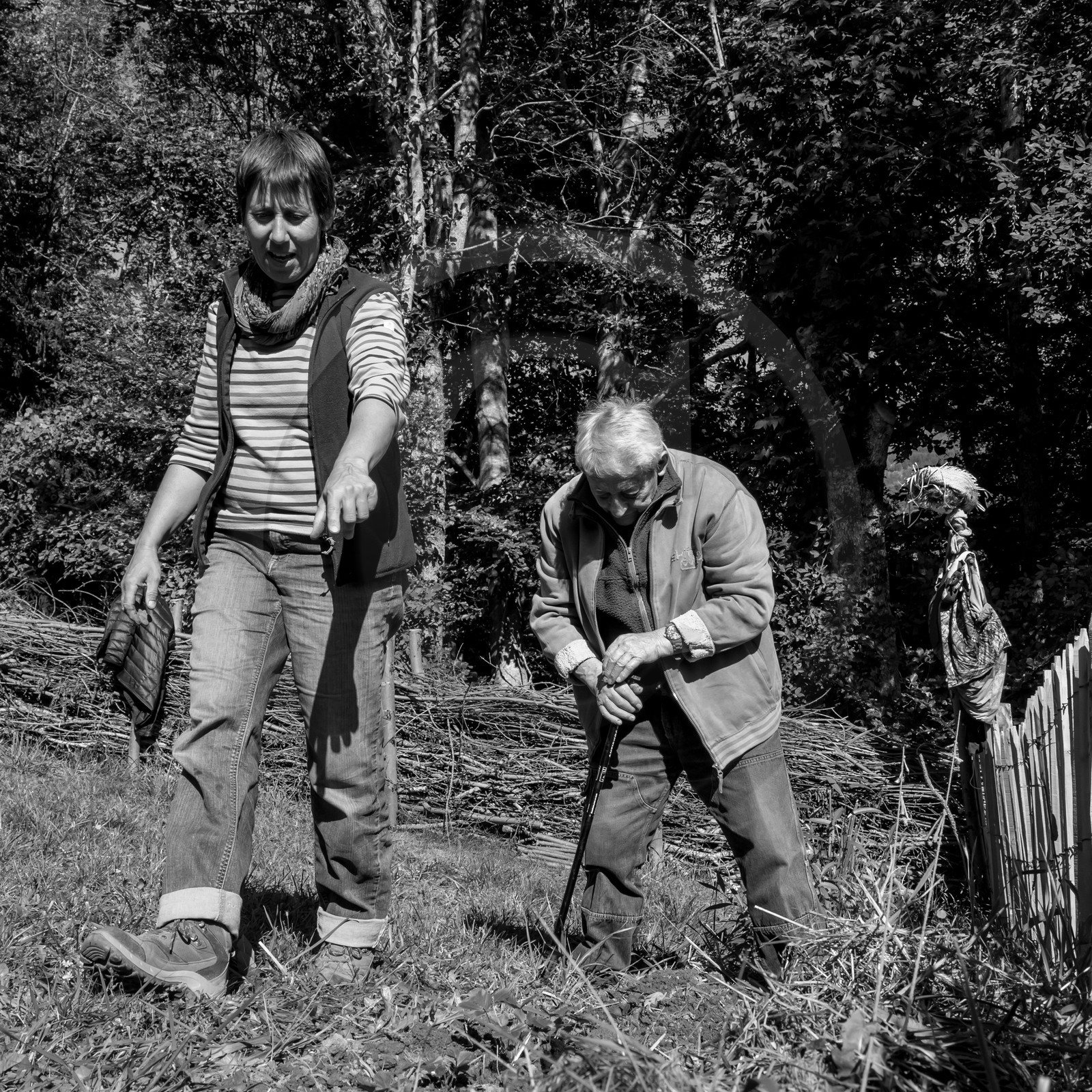 20 septembre 2017 - Jardinage