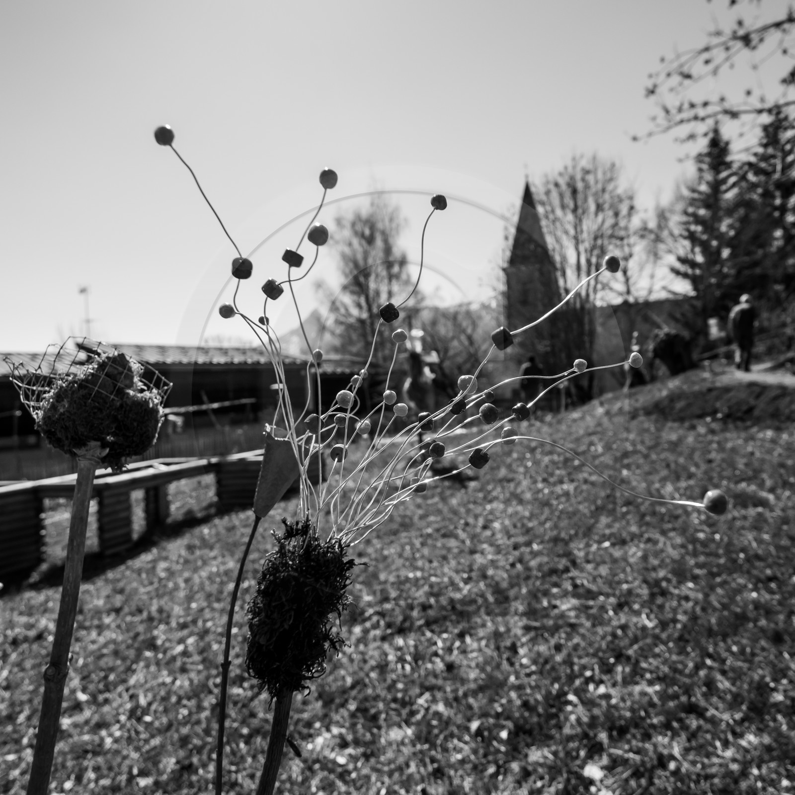 20 mars 2018 : une après-midi au jardin