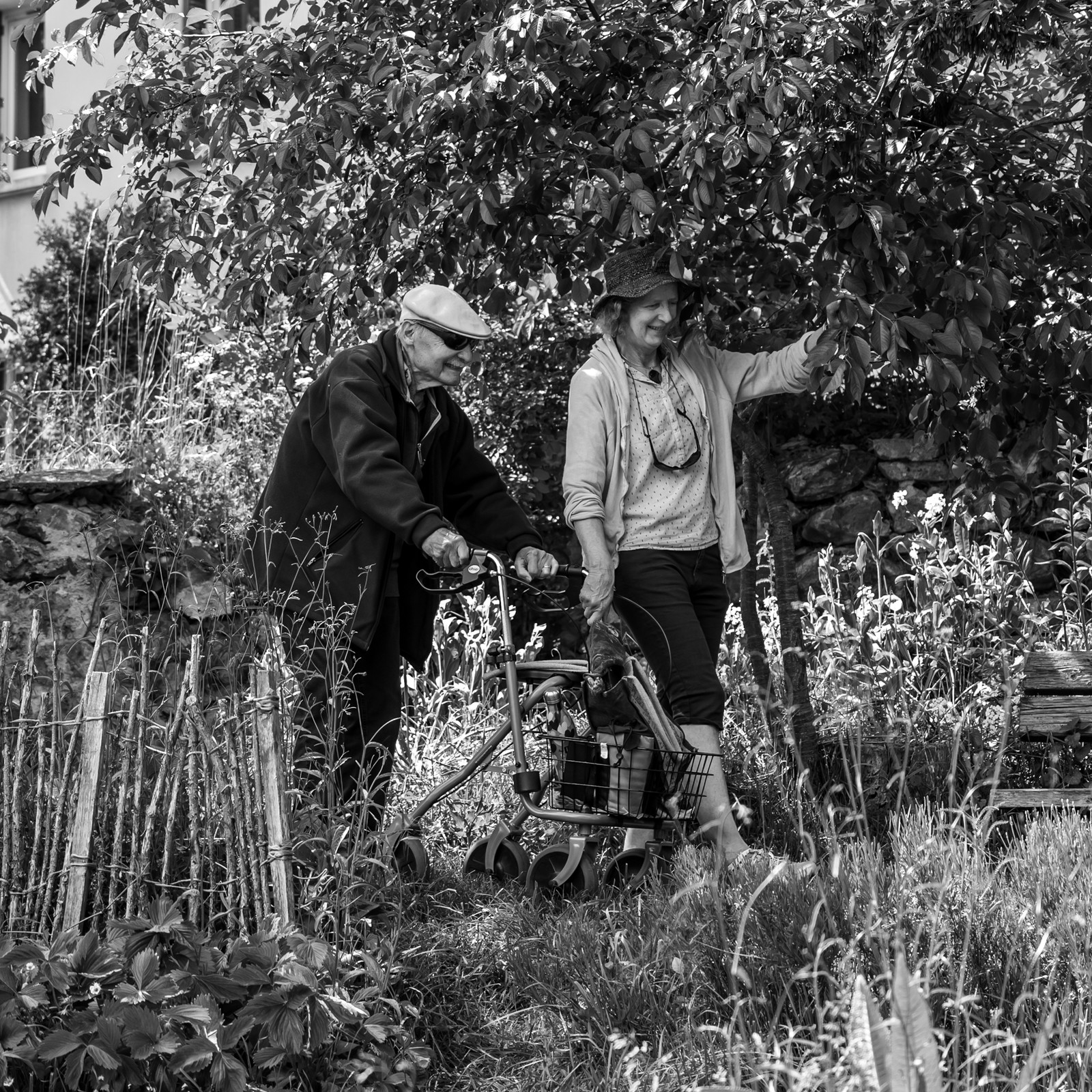 28 mai 2025 : Jeux, Osier, Photos, Jardinage...