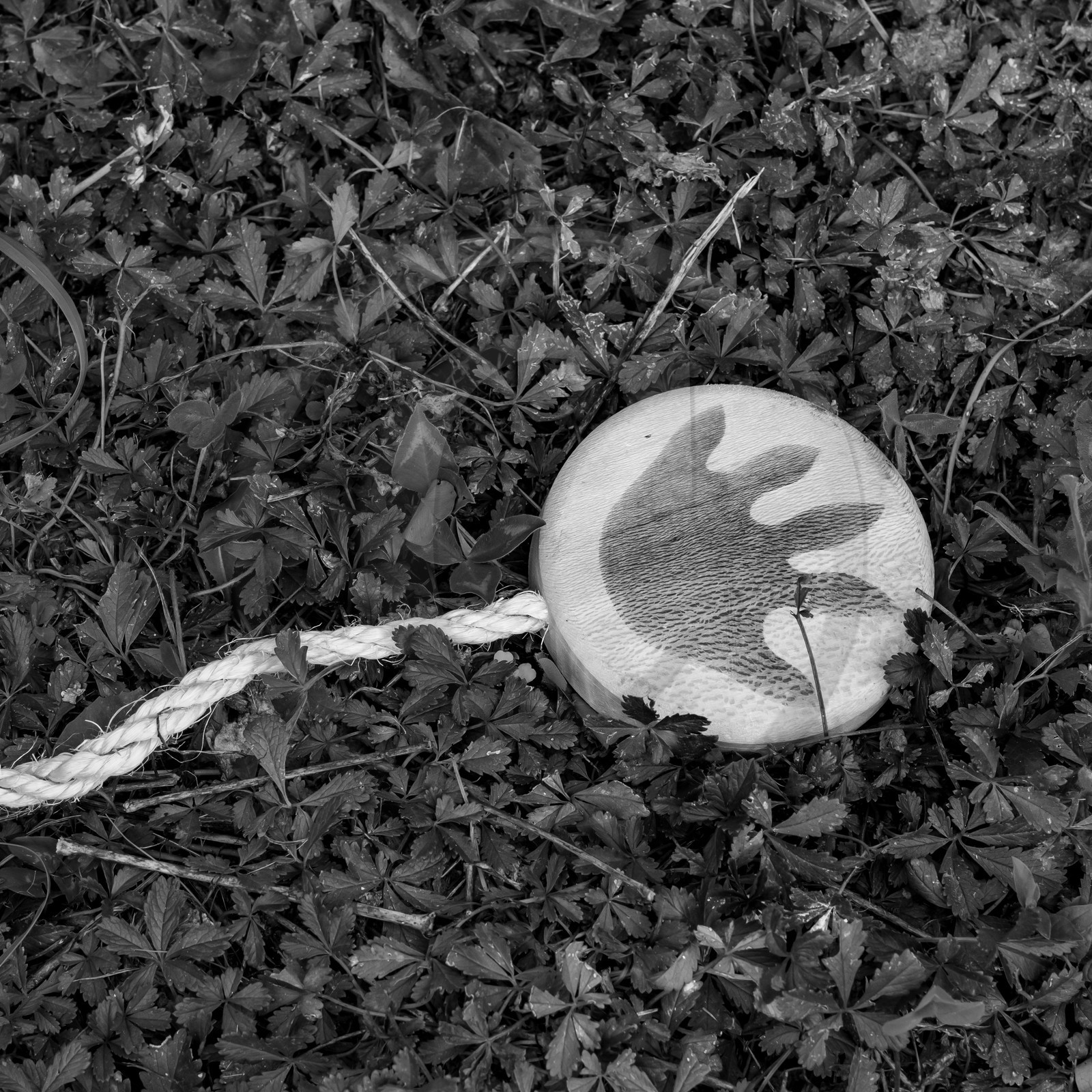 08 septembre 2021 : des jeux et des aménagements au jardin 08 septembre 2021 : des jeux et des aménagements au jardin