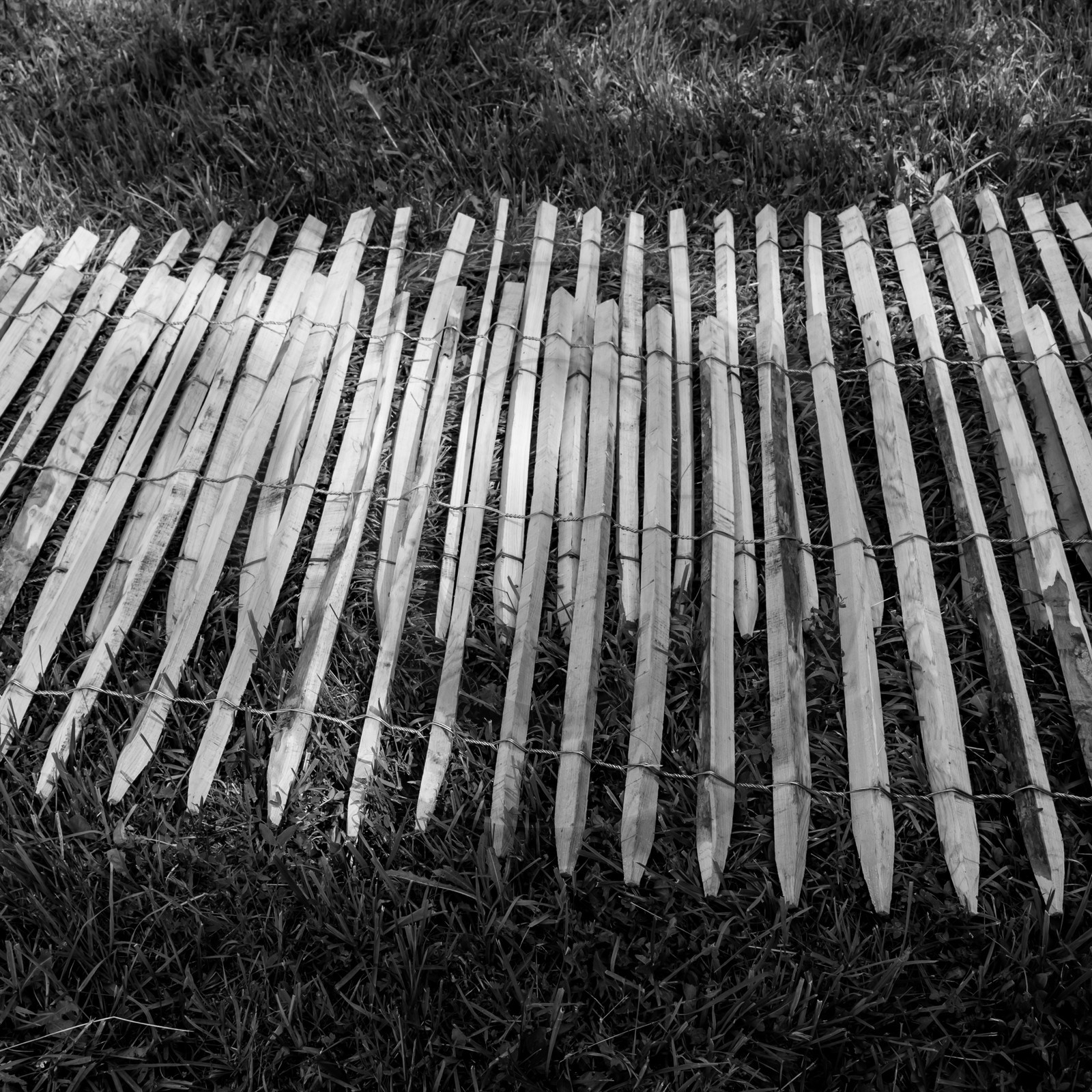 14 juin 2017 - Pose de la clôture