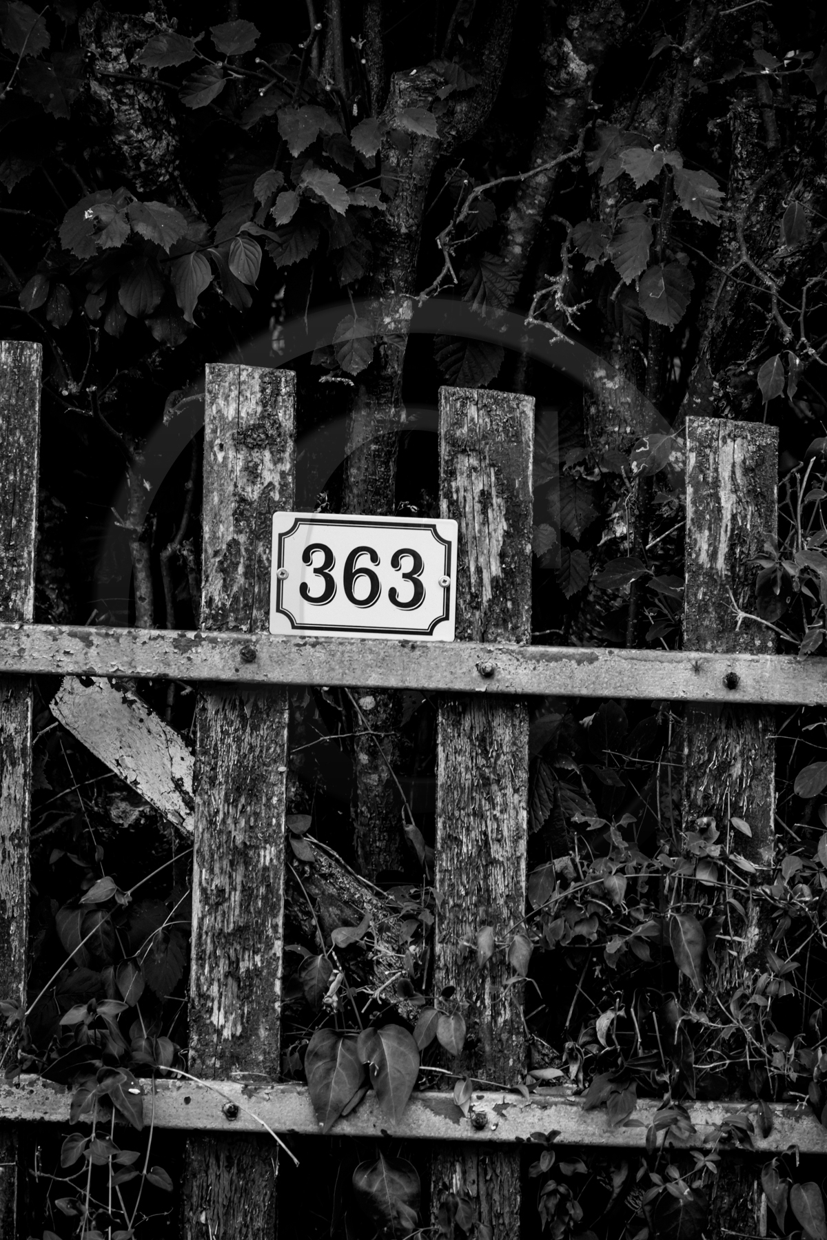 Des chiffres et des lettres