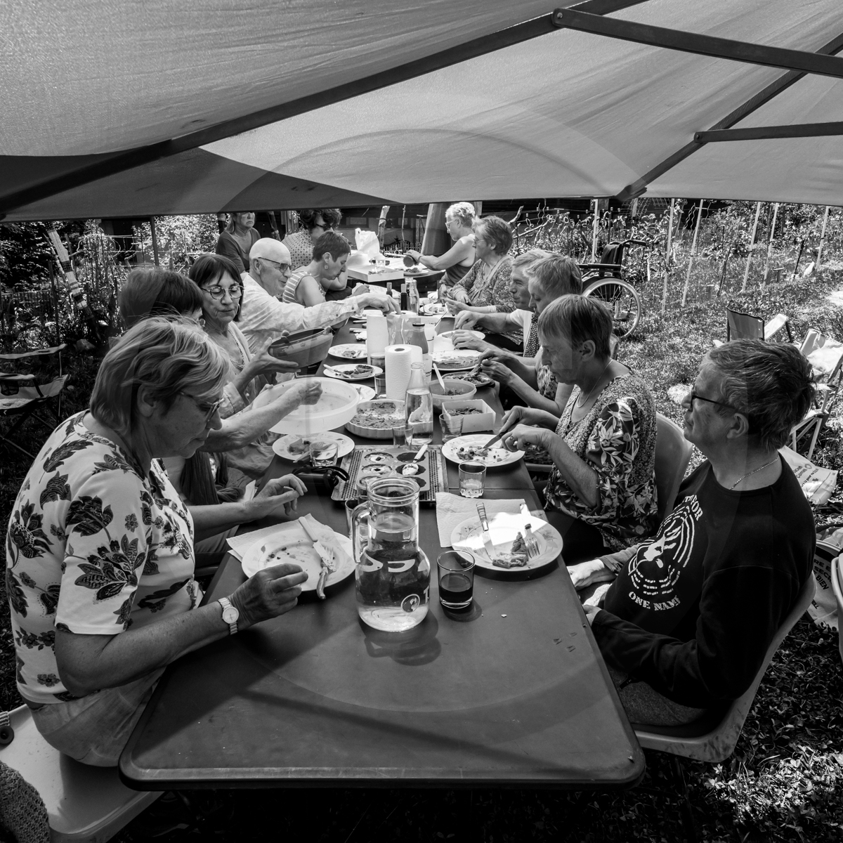 20 mai 2022 : 2ème journée des aidants 20 mai 2022 : 2ème journée des aidants