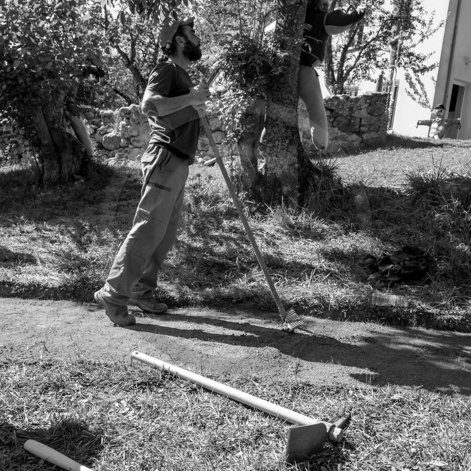 20 septembre 2017 - Jardinage