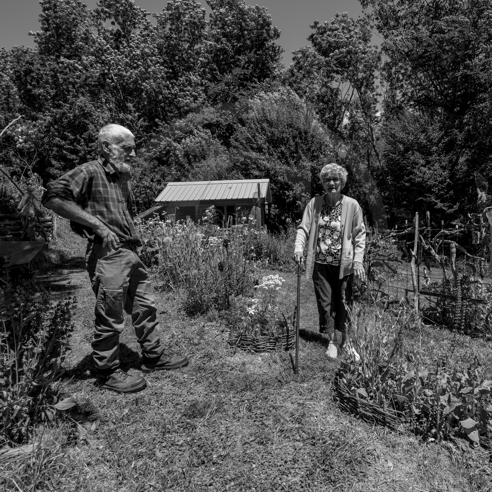 30 juin 2021 : Jardinage, jeux de cartes, masques