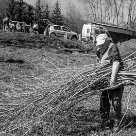 Nettoyage du terrain - Coupe du bois - 29 03 17