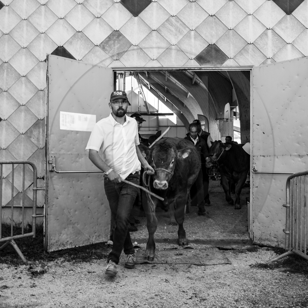 Rencontres paysannes à Saint-Bonnet en Champsaur