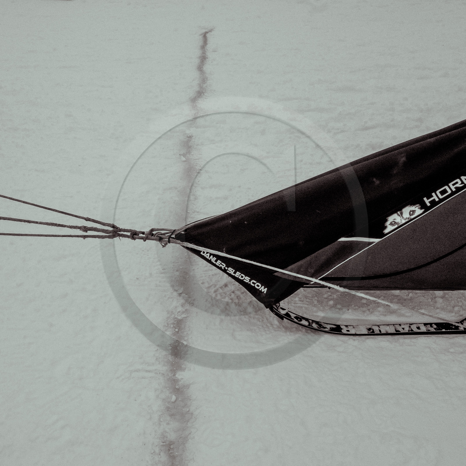 La Valgaude Traineau 2015