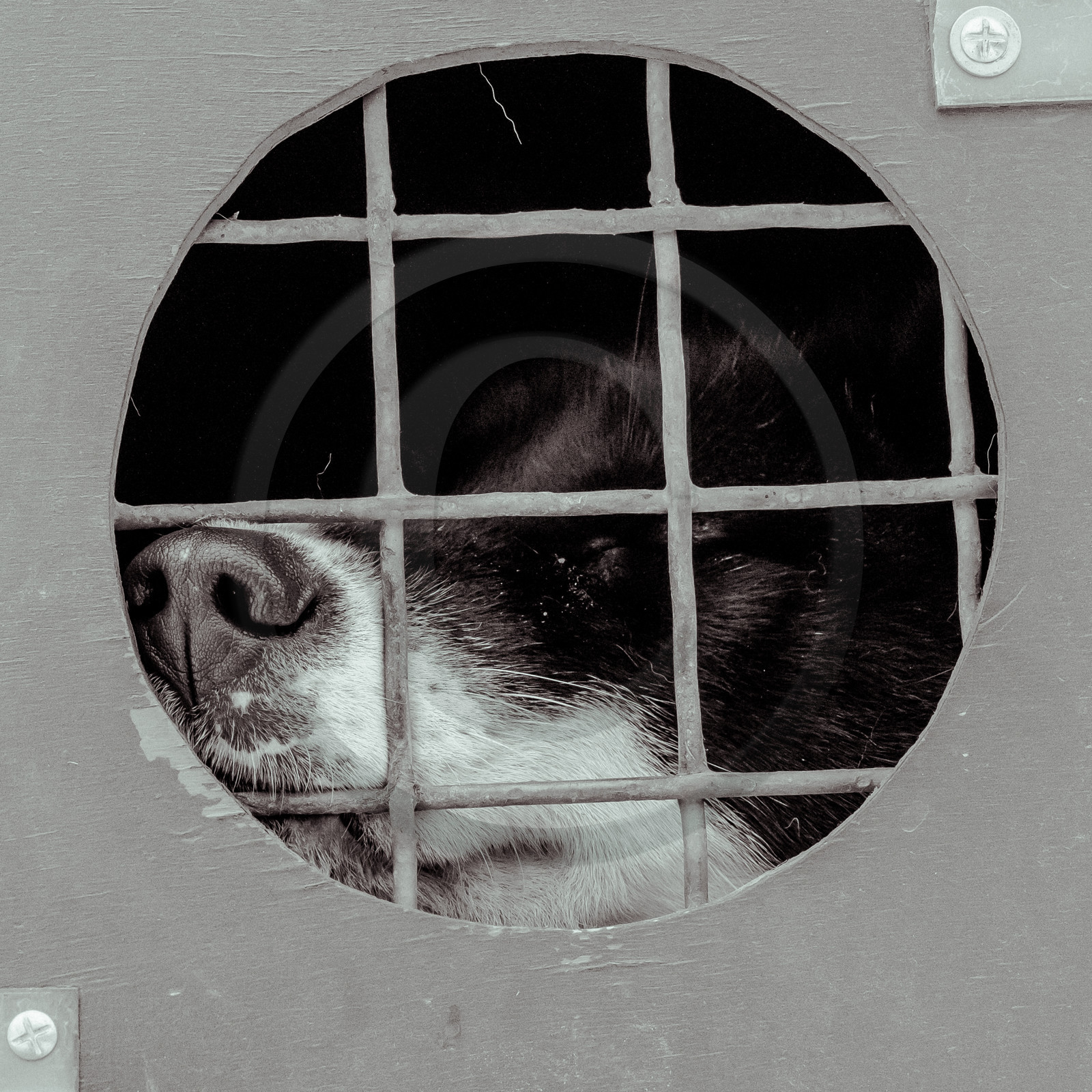 La Valgaude Traineau 2015