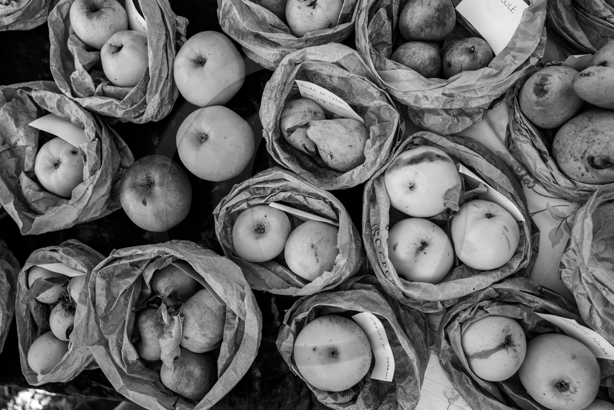 05 novembre 2022 : des pommes et des soupes