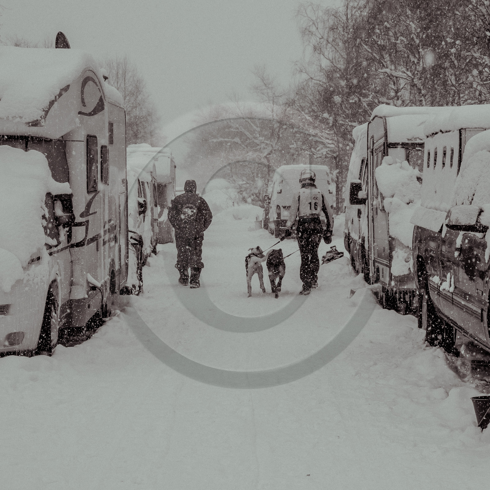 La Valgaude Traineau 2015 La Valgaude Traineau 2015