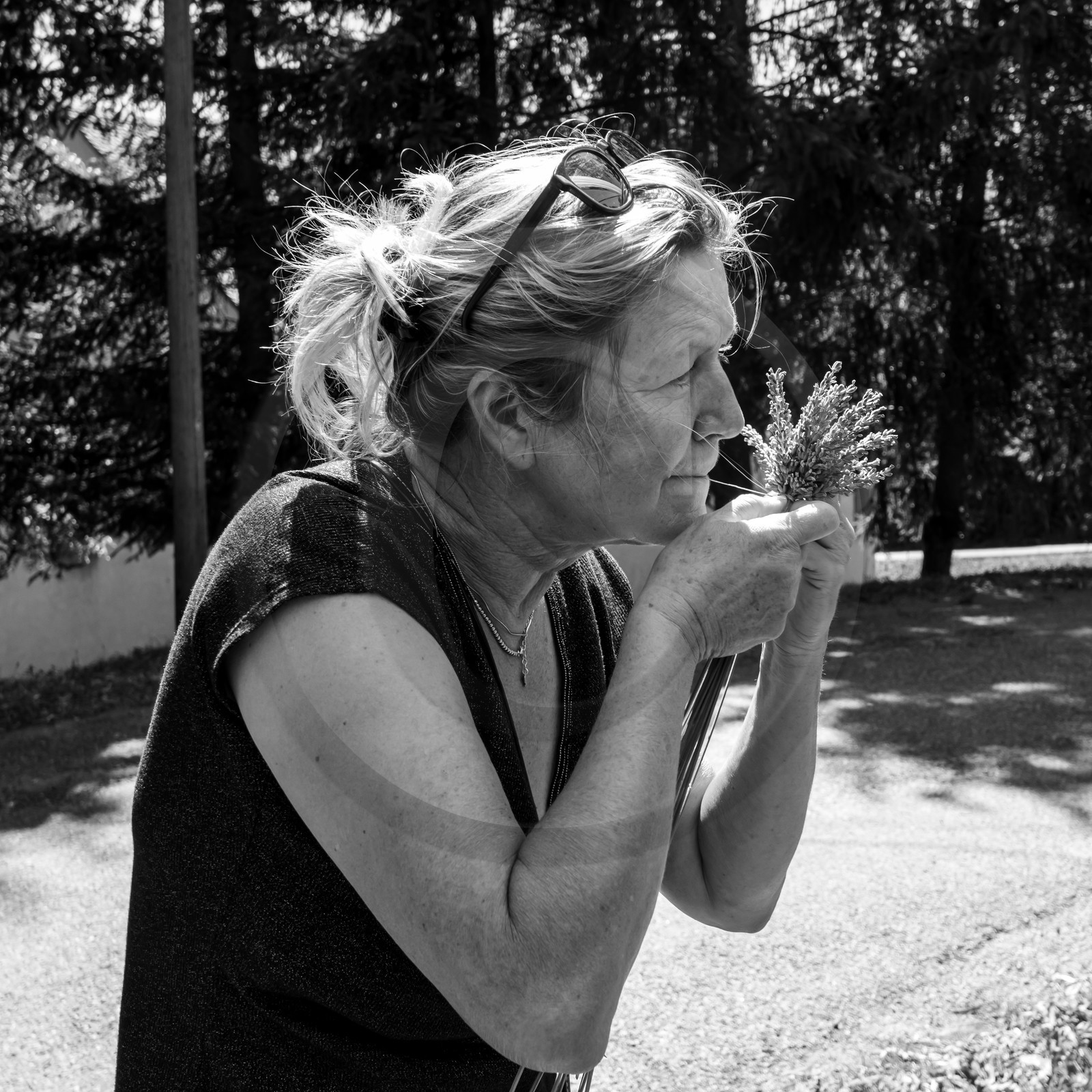 Atelier Fuseaux de lavande