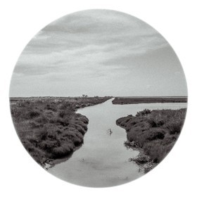 Les instants Camargue