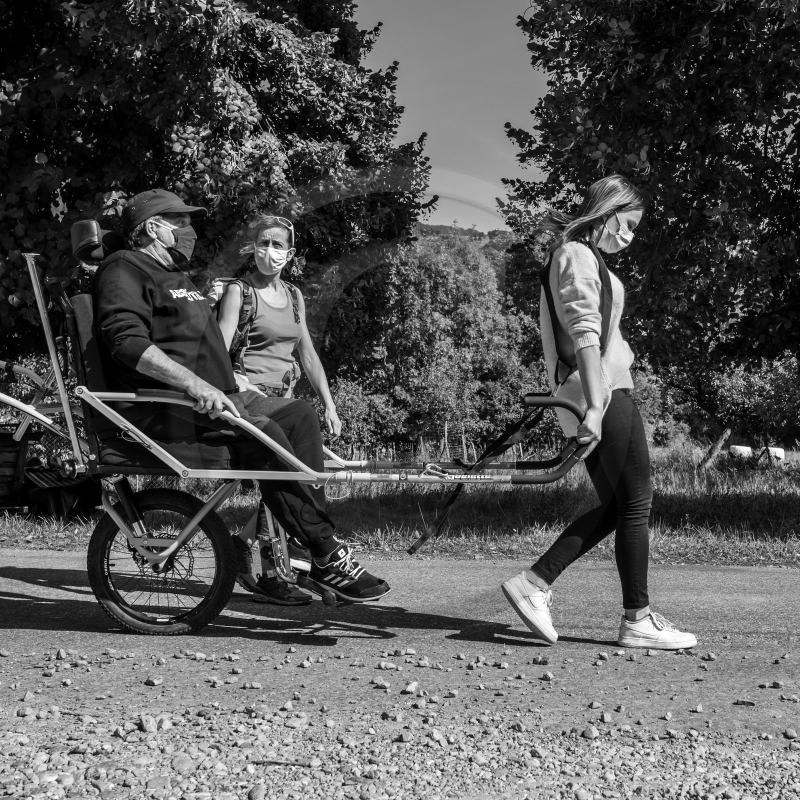 Promenade en joelette