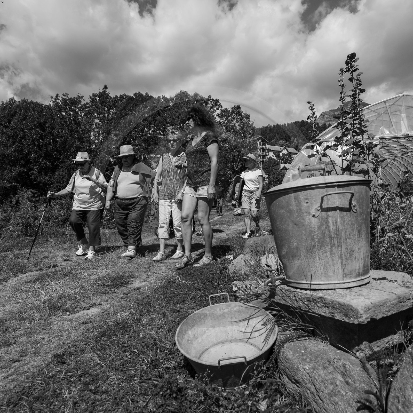 04 septembre 2019 : Visite au jardin des Hautes Terres 04 septembre 2019 : Visite au jardin des Hautes Terres