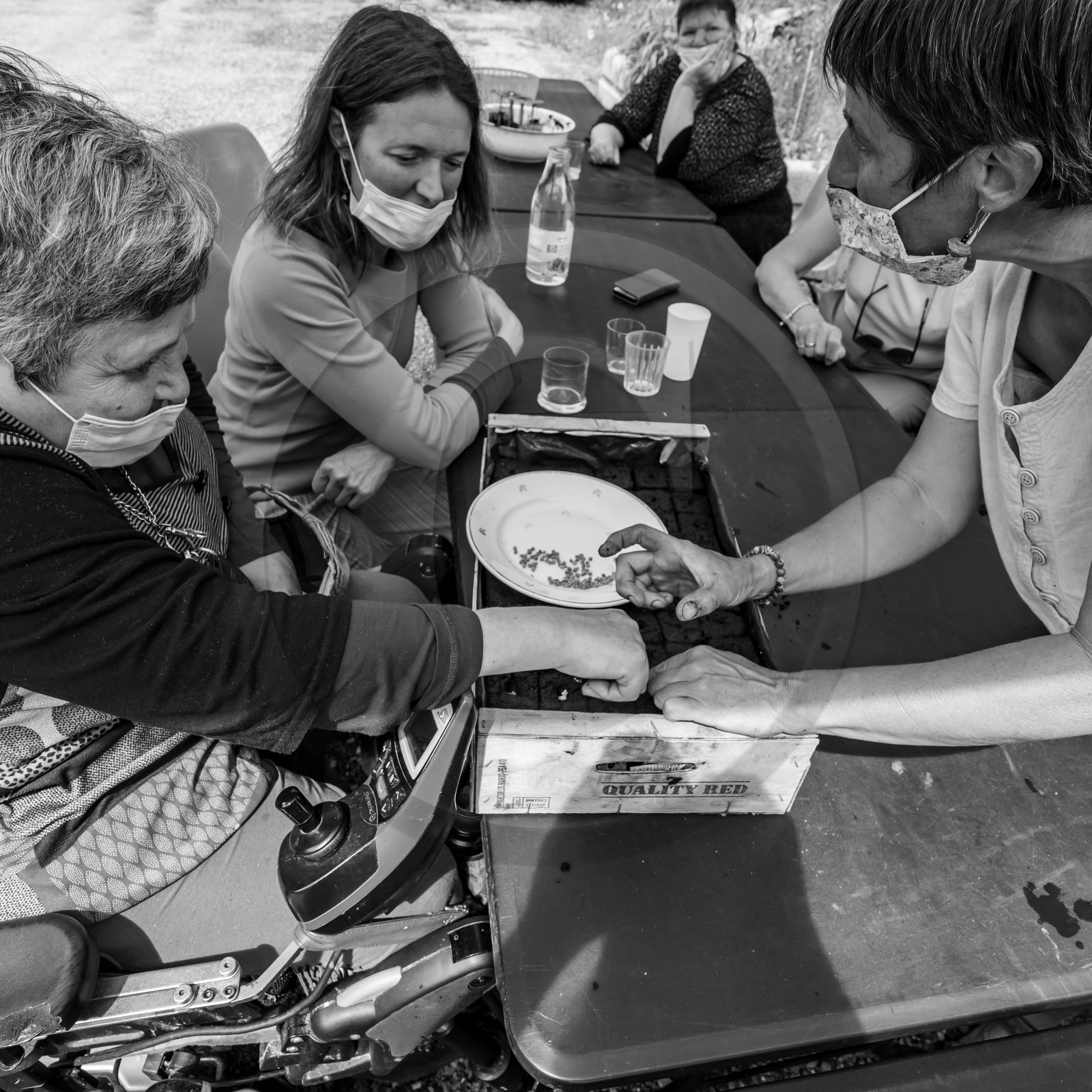 L'APF en visite à l'Ouort