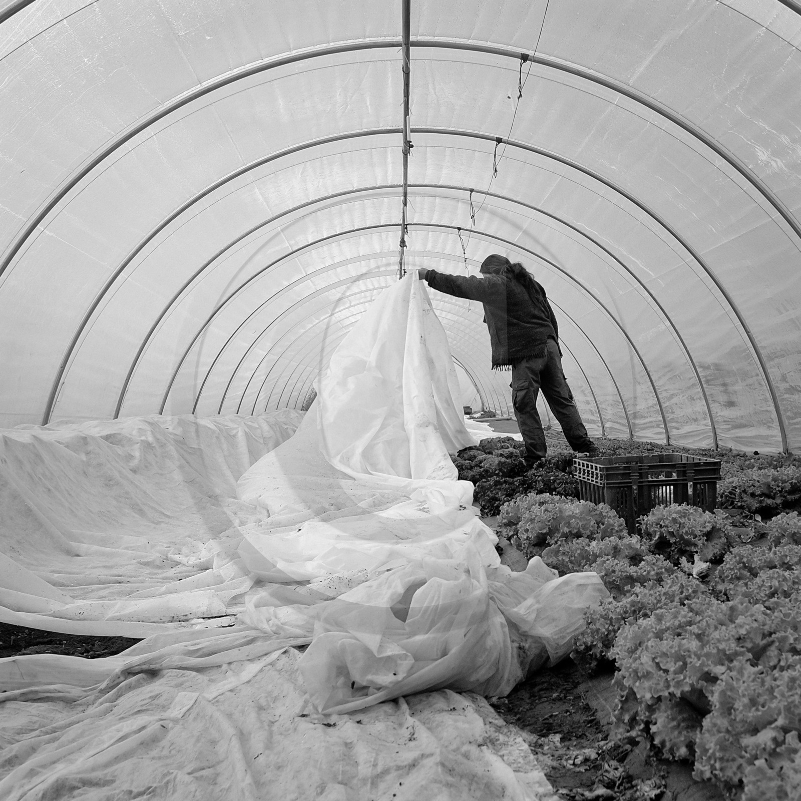 Sophie Jaussaud, maraichère à Ancelle Sophie Jaussaud, maraichère à Ancelle