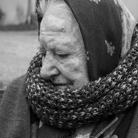 03 mai 2017 - Bac, semis et plantations