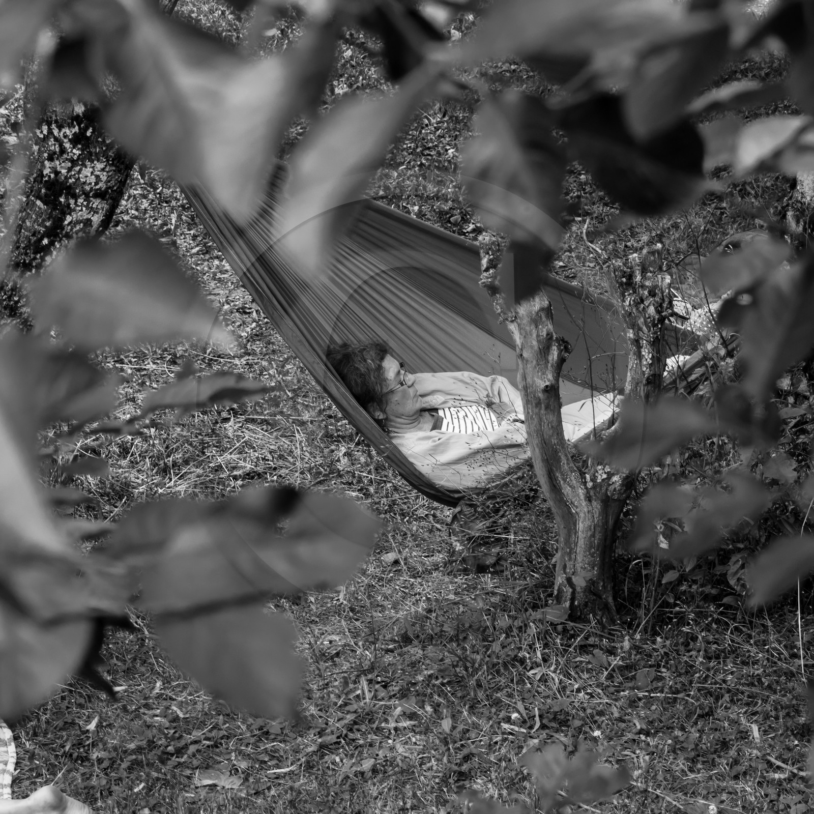 Sieste musicale
