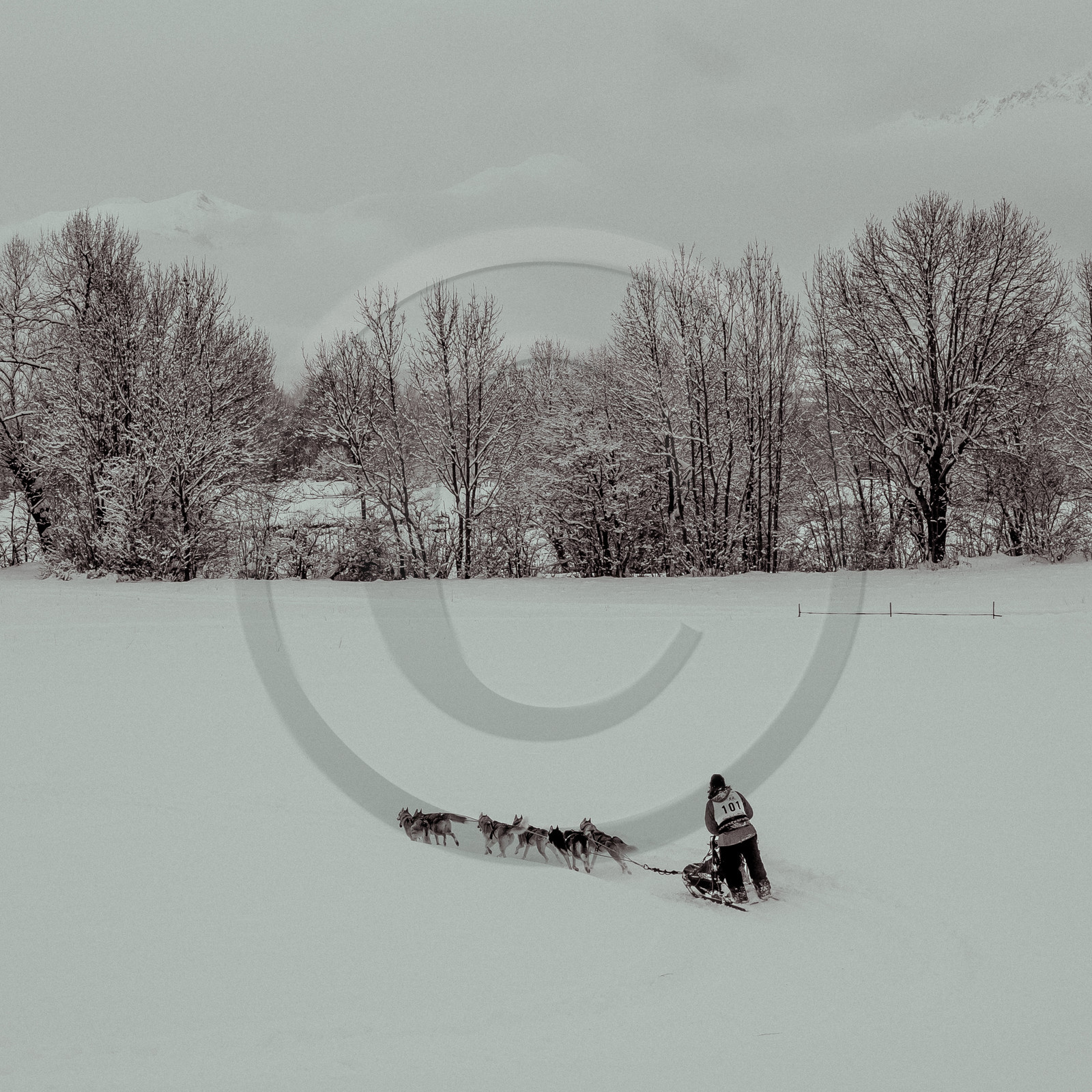 La Valgaude Traineau 2015 La Valgaude Traineau 2015