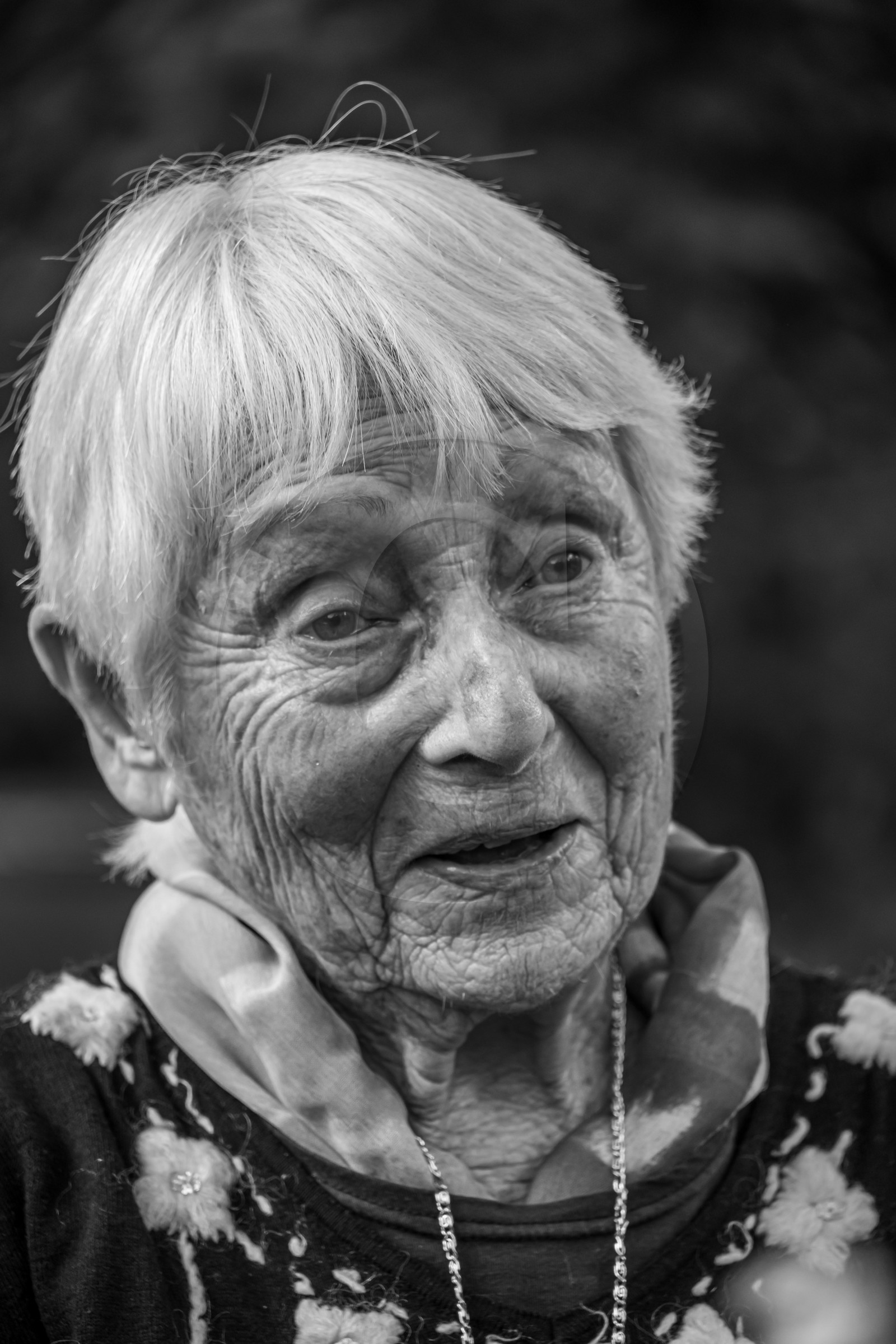 23 octobre 2024 : Echanges, bilans, perspectives