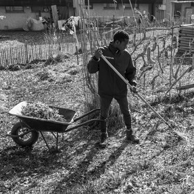 24 février 2021 : on taille, on prépare le jardin...